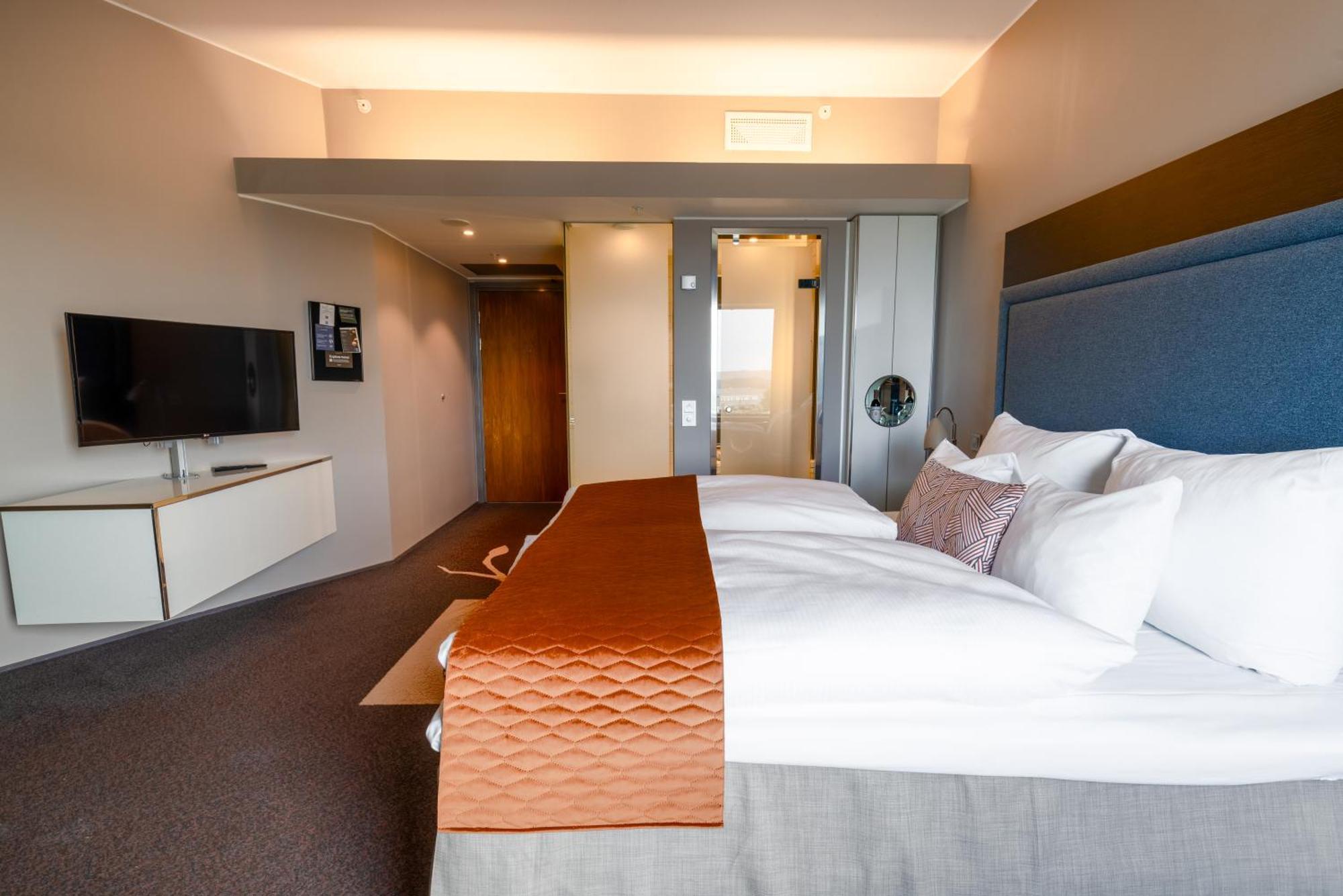 Deluxe Double Room Mountain View
